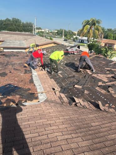 Shingle Reroof